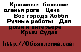 Красивые  большие оленьи рога › Цена ­ 3 000 - Все города Хобби. Ручные работы » Для дома и интерьера   . Крым,Судак